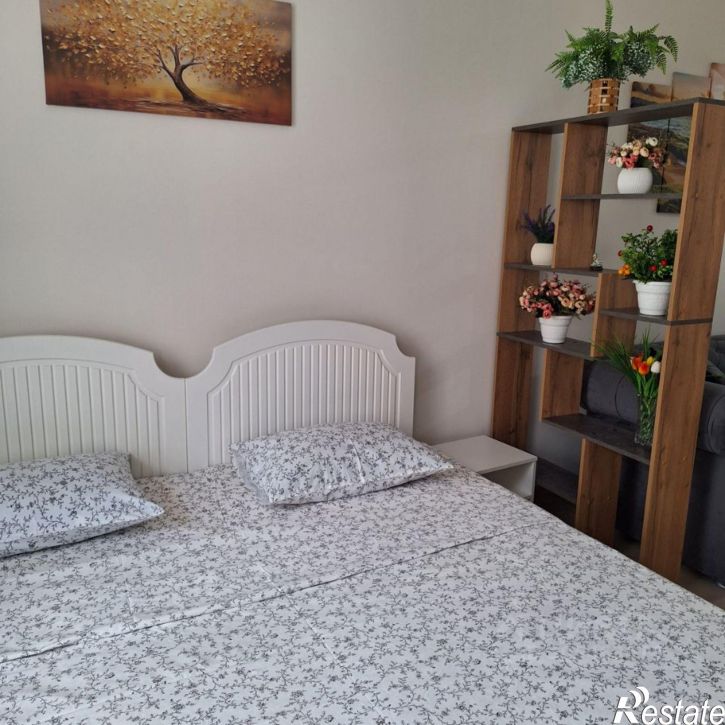 1-комн квартира Петропавловское шоссе, 10а,  д. 10а