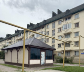 1-комн, 31кв м, этаж 1/5 пр-кт А.А.Кадырова, 119